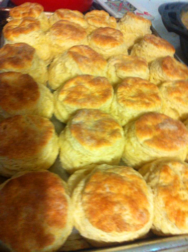 biscuits hot from the oven
